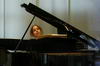 30.4.2011 - Wege zum Wohnen Wr. Neustadt - Klavierkonzert mit Ines Schüttengruber im BORG Wr. Neustadt